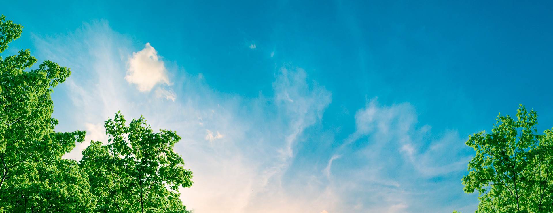 Les Alpes Bellegarde | Bellevue